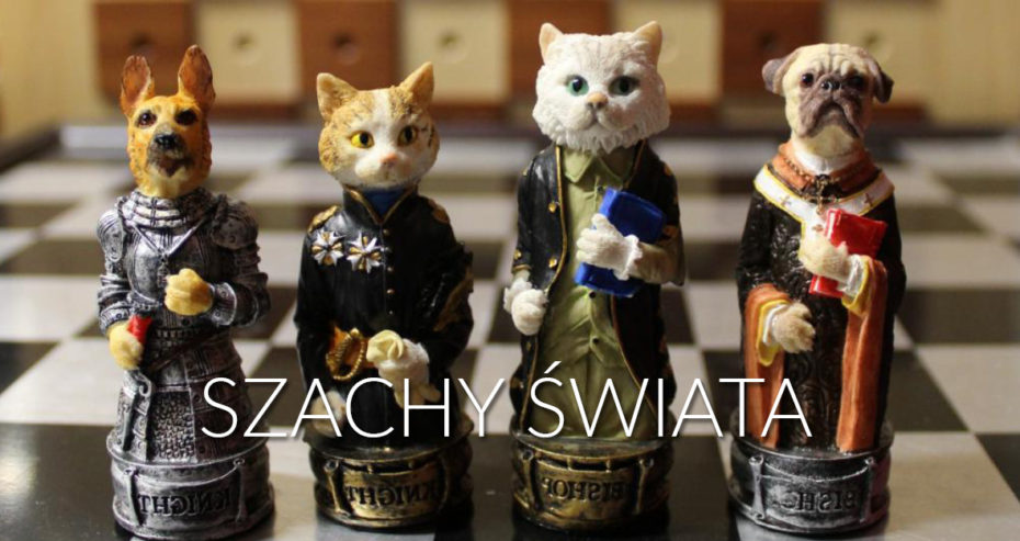 baner wystawy Szachy Świata z szachami w kształcie psów i kotów